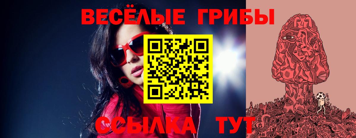 как найти закладки  Псилоцибиновые грибы Psilocybine cubensis  Вход с VPN  Санкт-Петербург 