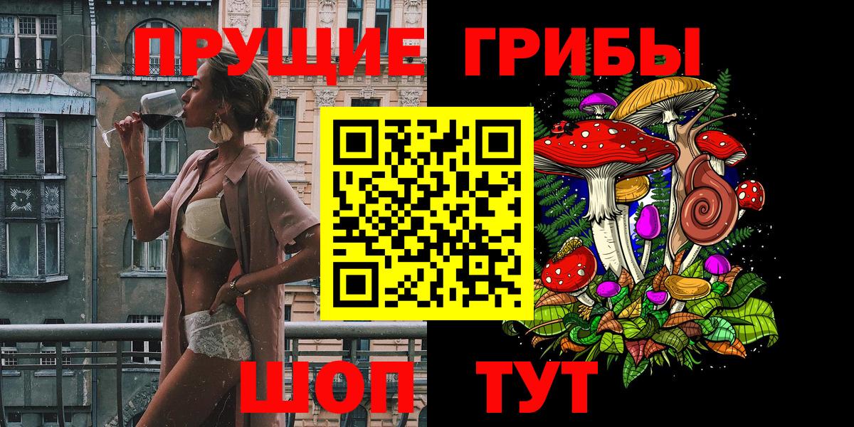 Псилоцибиновые грибы Psilocybine cubensis Санкт-Петербург